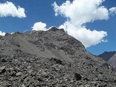 Ciervo desde Anfiteatro