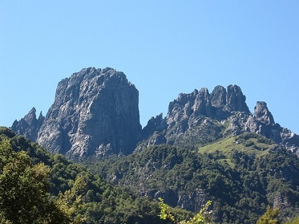 Peinetas desde camino internacional