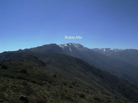 Roble Alto