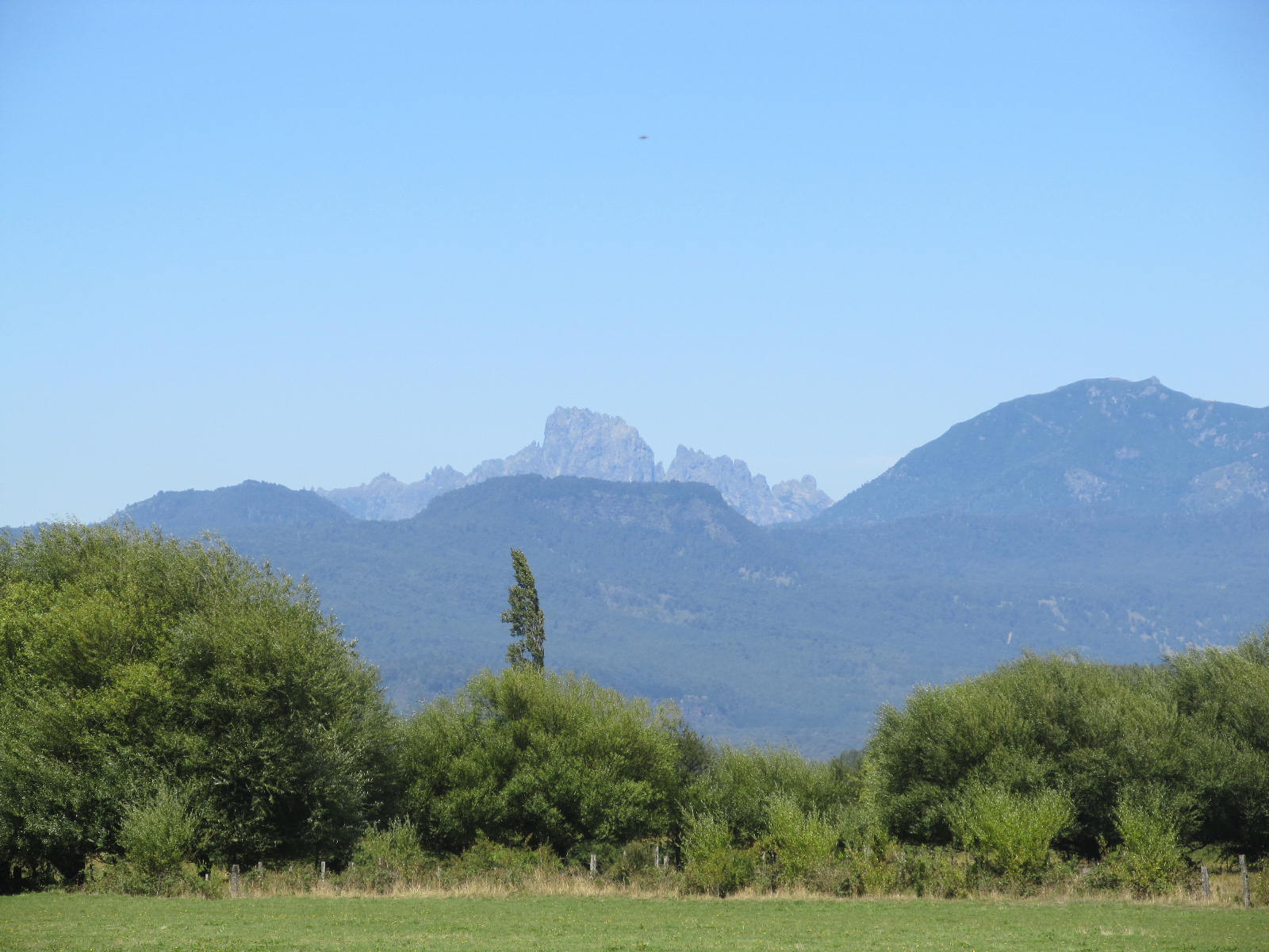 Las Peinetas en el Horizonte