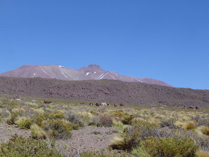 Cerro Corona