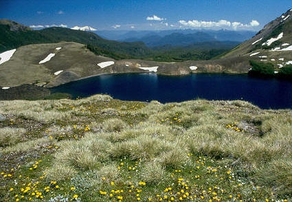 Lugar de campamento