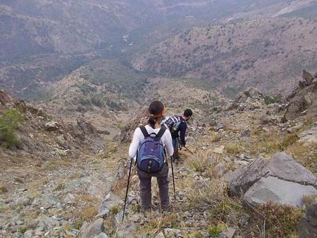 Bajando el acarreo de la antecumbre