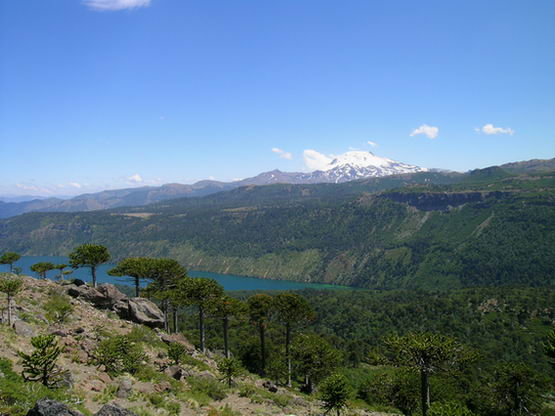 Callaqui y laguna El Barco