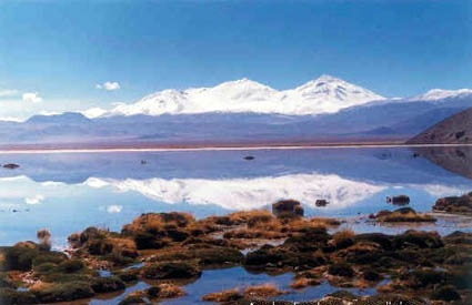 Después de la Tormenta