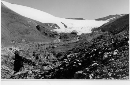 Lengua del Glaciar Tronquitos