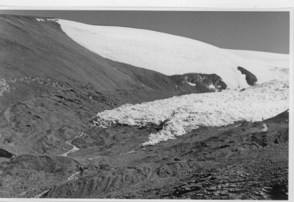 Lengua del Glaciar Tronquitos 2