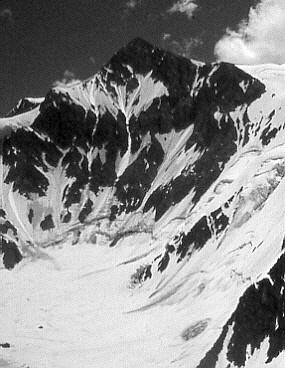 Cortaderas desde el Marmolejo