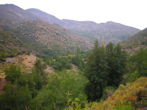 El Mocoen desde el Camino Internacional