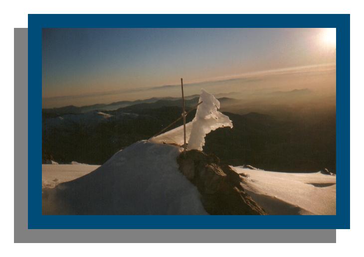 Naturaleza inesperada