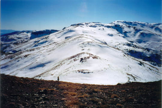 Vista desde el Carpa hacia el Arqueado