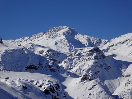 Cepo desde Valle Nevado