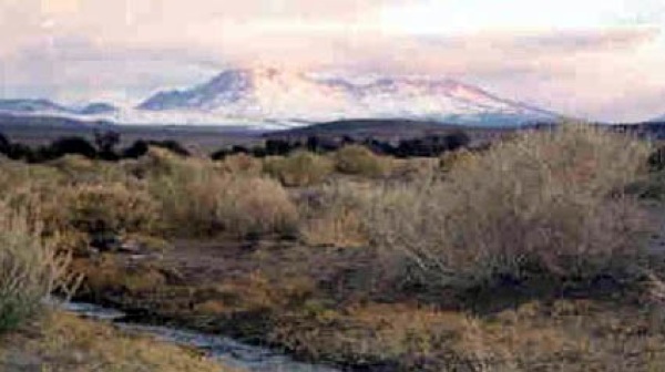 Pular desde Tilomonte