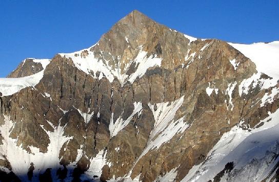 Cortaderas Cara Este