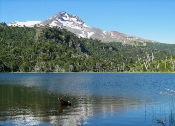 Tolhuaca visto desde caracoles