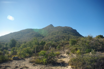 El Mauco en mayo