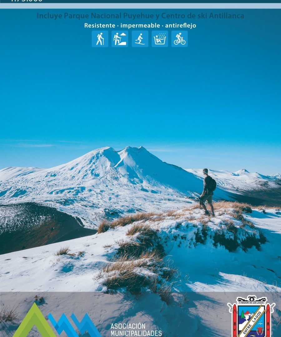 Puyehue - Digital